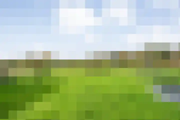 Veldsteeg 1 a Arriën thumbnail 75