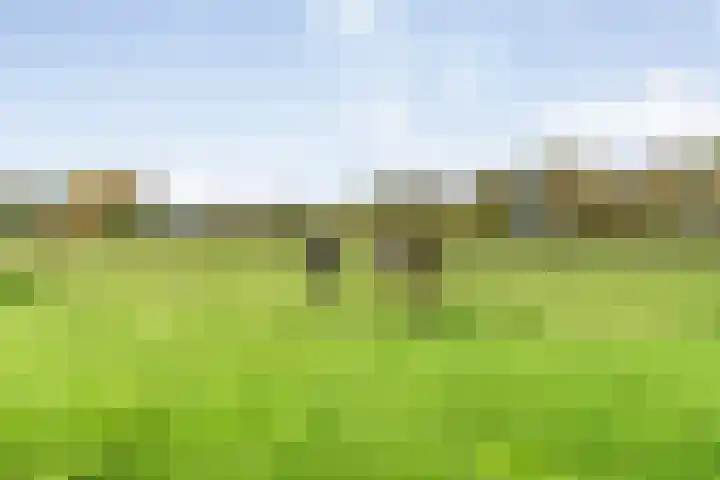 Veldsteeg 1 a Arriën thumbnail 76