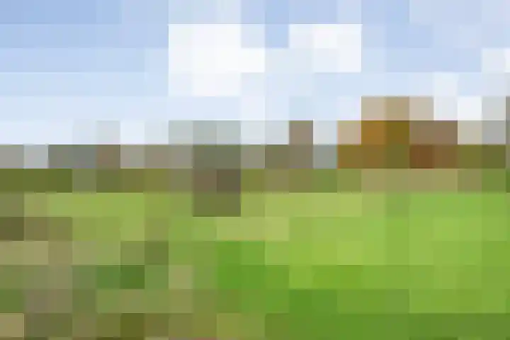 Veldsteeg 1 a Arriën thumbnail 77