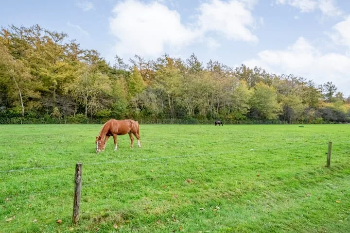 Veldsteeg 1 a Arriën thumbnail 78