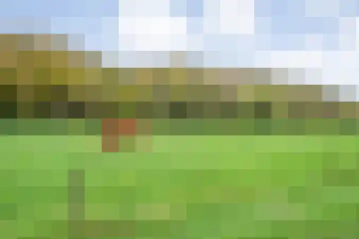 Veldsteeg 1 a Arriën thumbnail 78