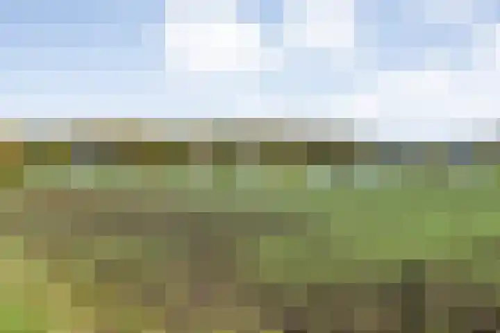 Veldsteeg 1 a Arriën thumbnail 79