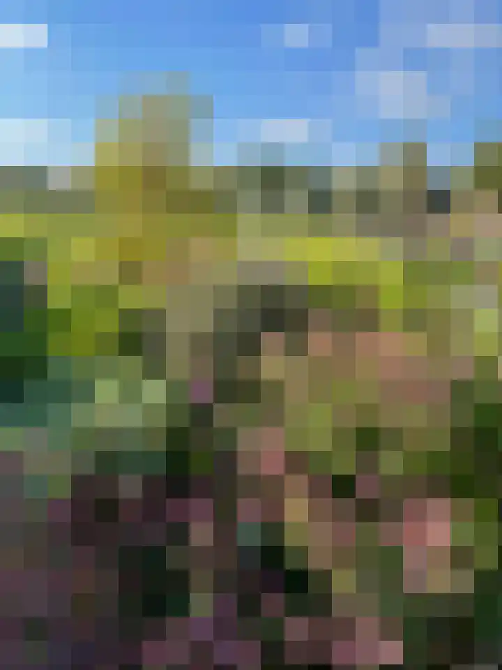 Veldsteeg 1 a Arriën thumbnail 84