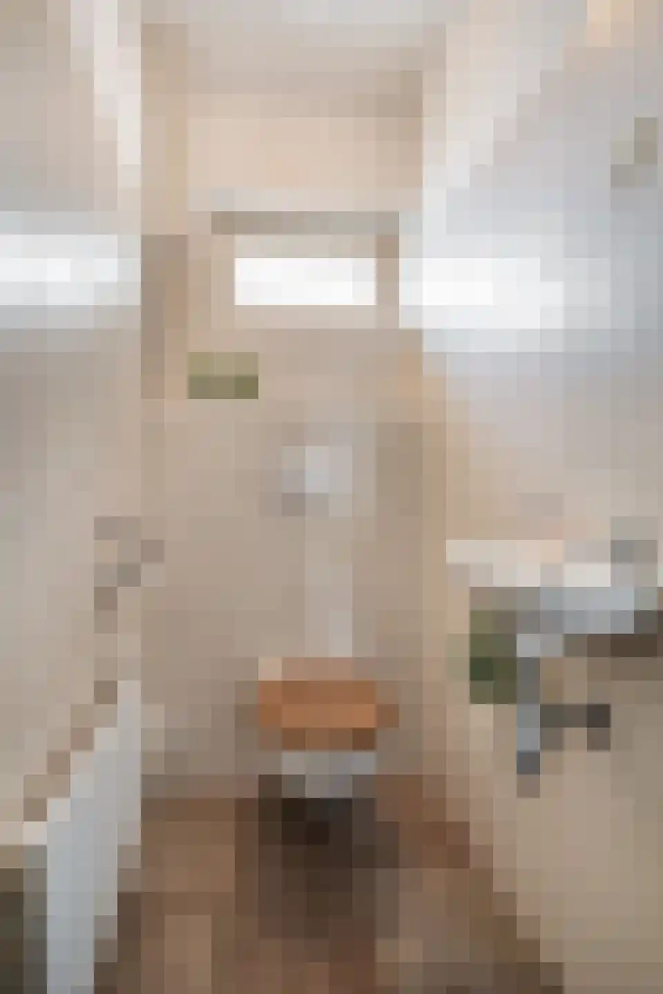Veldstraat 1 Den Dungen thumbnail 12