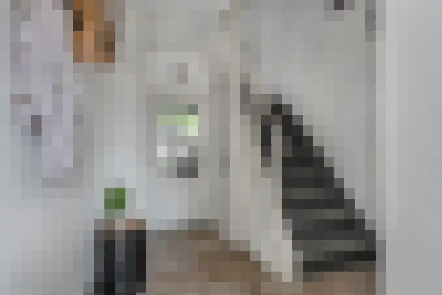 Veldstraat 1 Den Dungen thumbnail 14