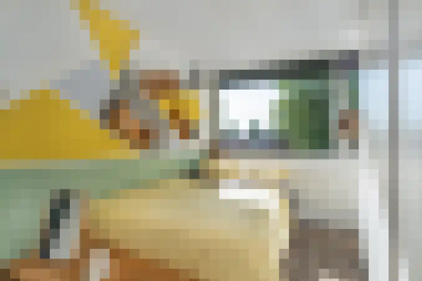 Veldstraat 1 Den Dungen thumbnail 15