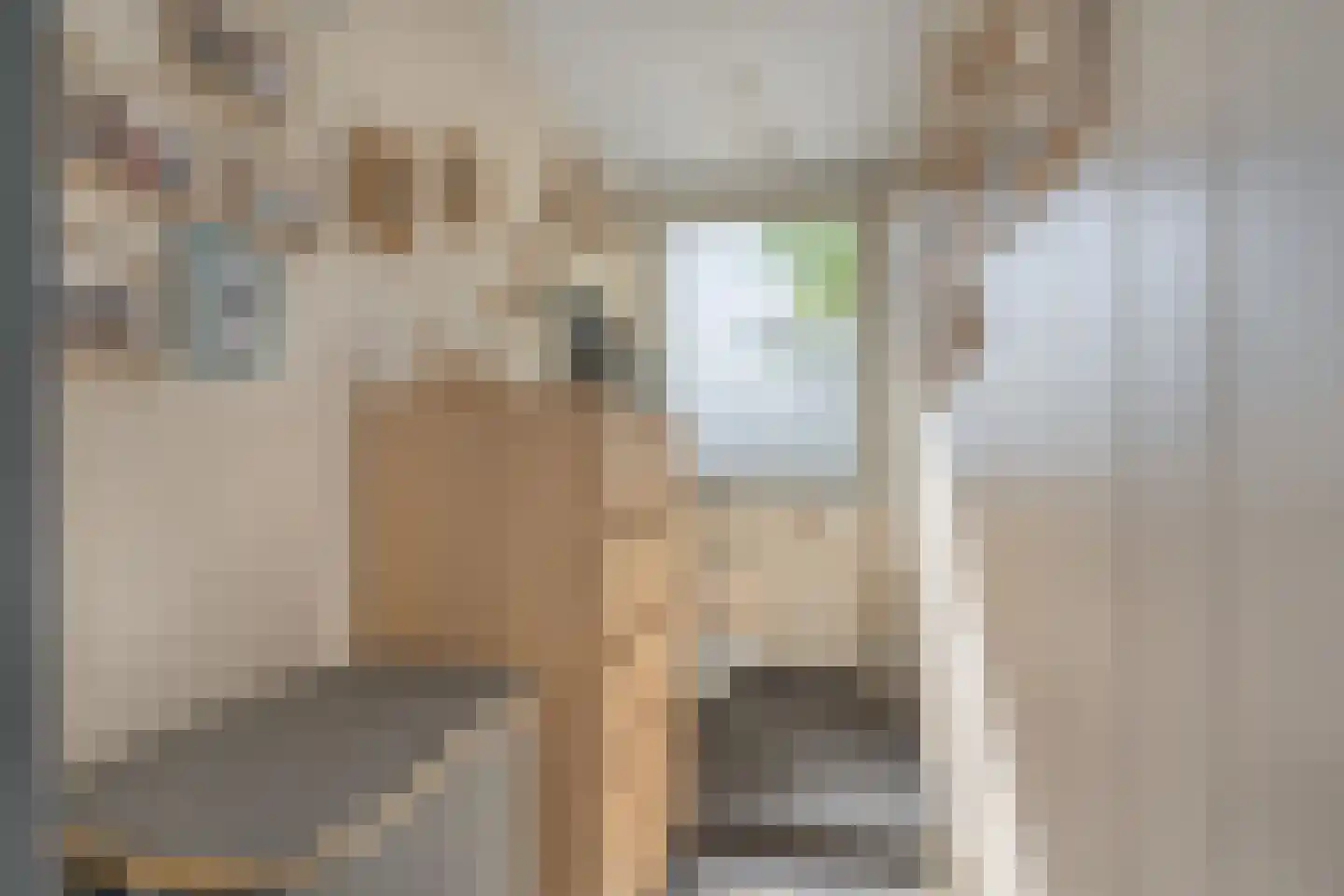 Veldstraat 1 Den Dungen thumbnail 18
