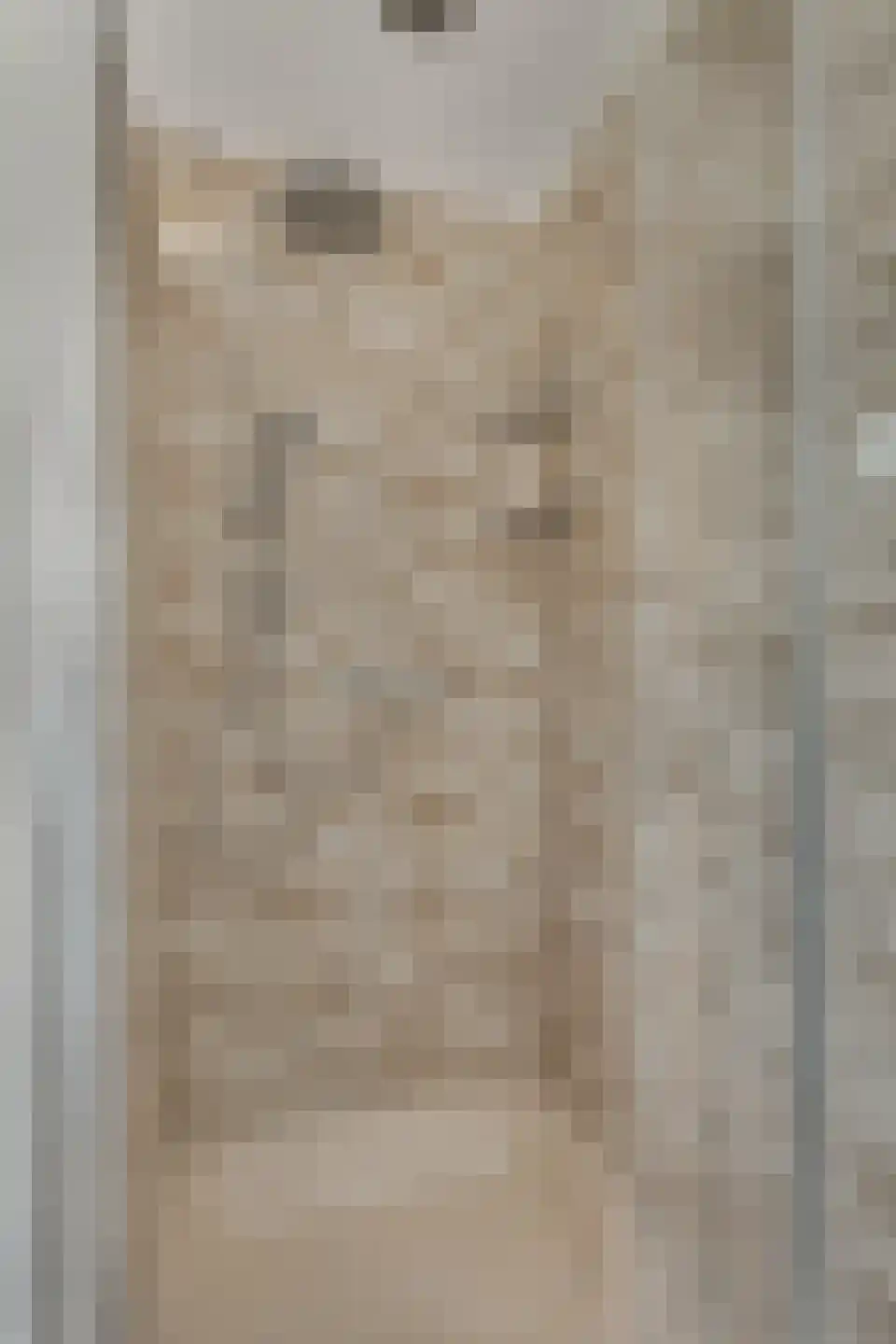 Veldstraat 1 Den Dungen thumbnail 20