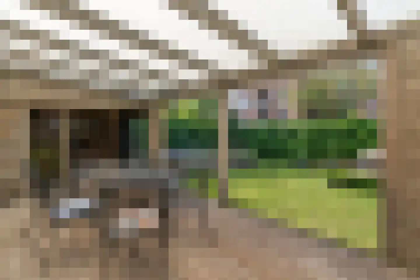 Veldstraat 1 Den Dungen thumbnail 24
