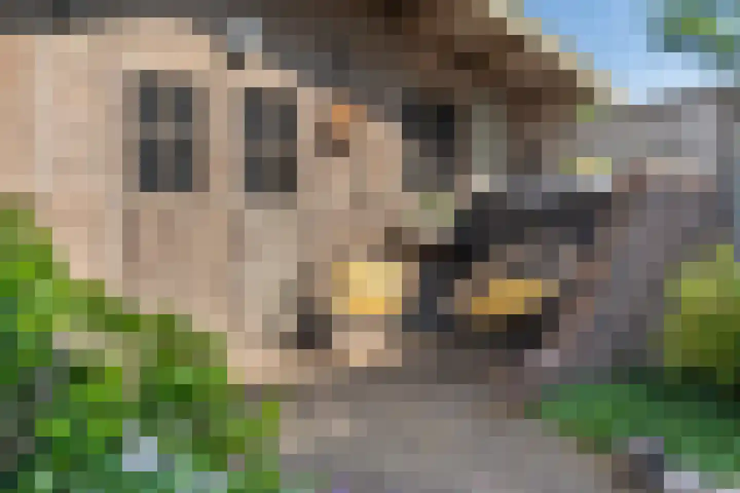 Veldstraat 1 Den Dungen thumbnail 31