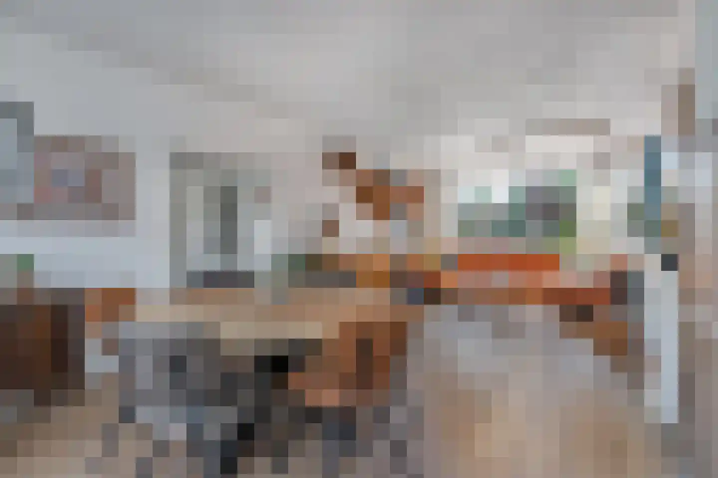 Veldstraat 1 Den Dungen thumbnail 4