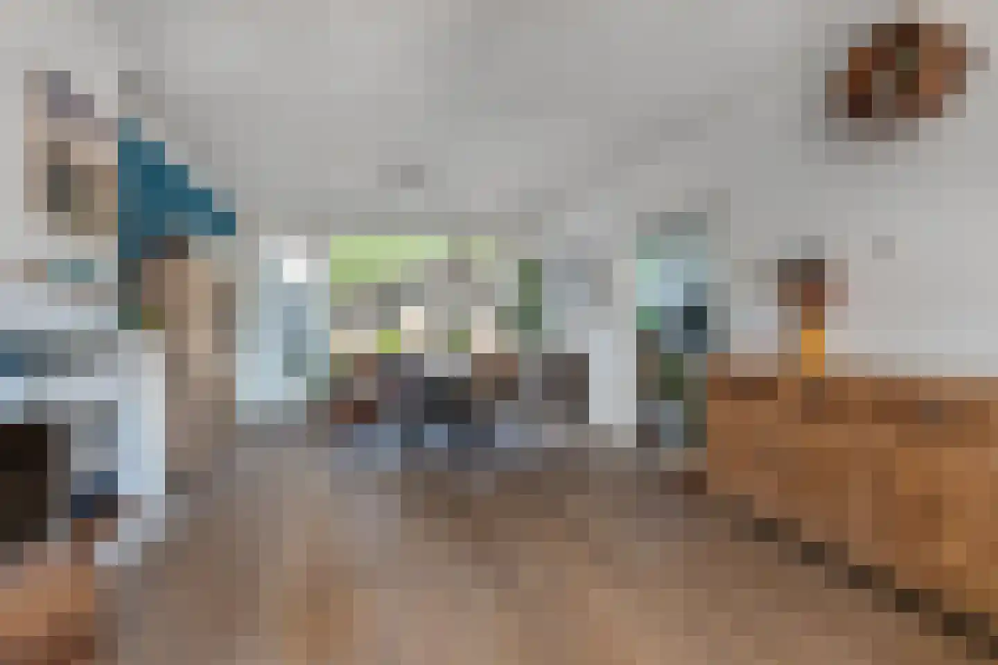 Veldstraat 1 Den Dungen thumbnail 6