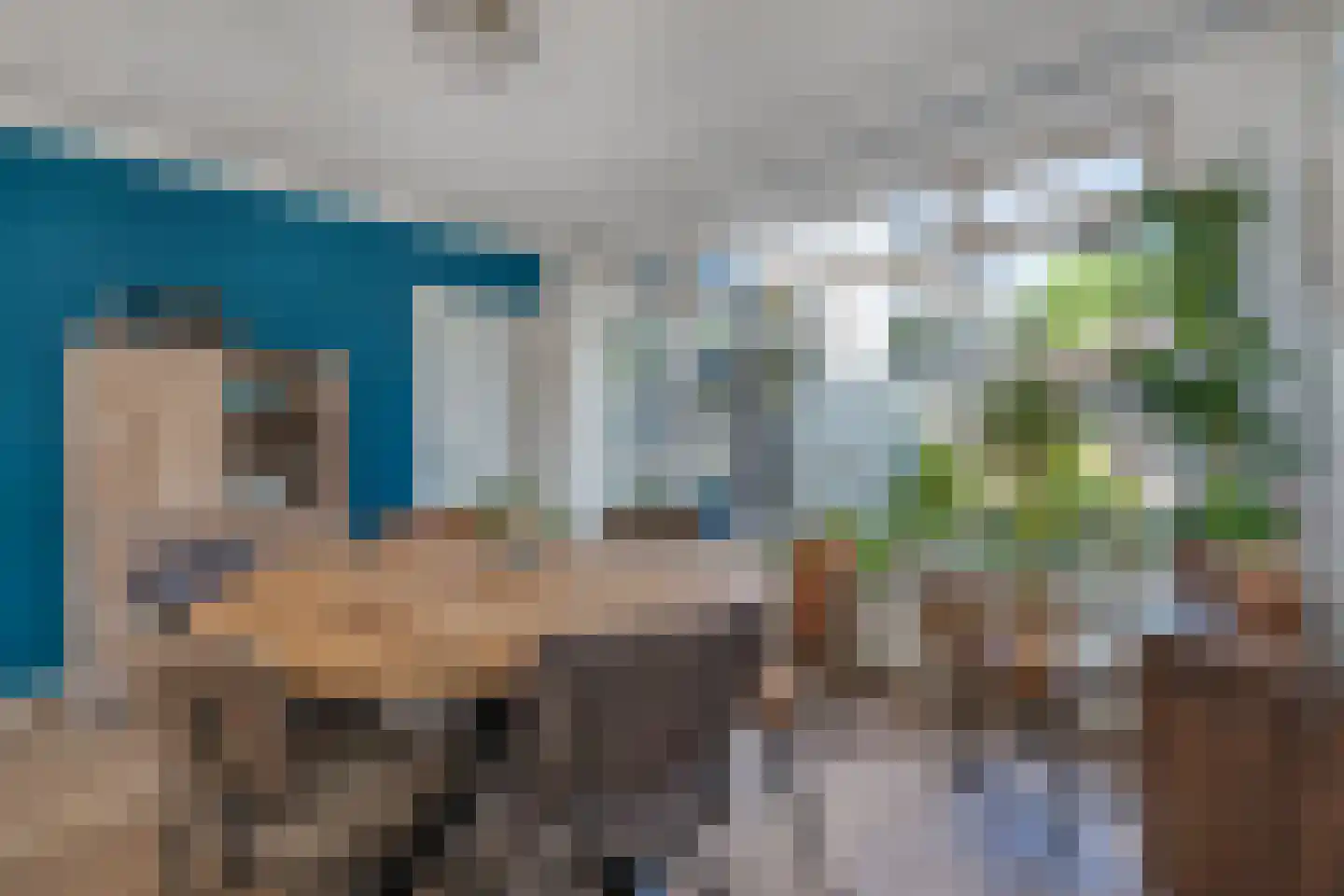 Veldstraat 1 Den Dungen thumbnail 8