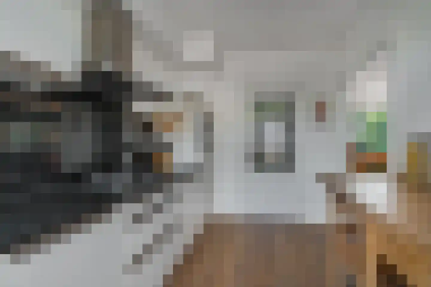 Veldstraat 1 Den Dungen thumbnail 9