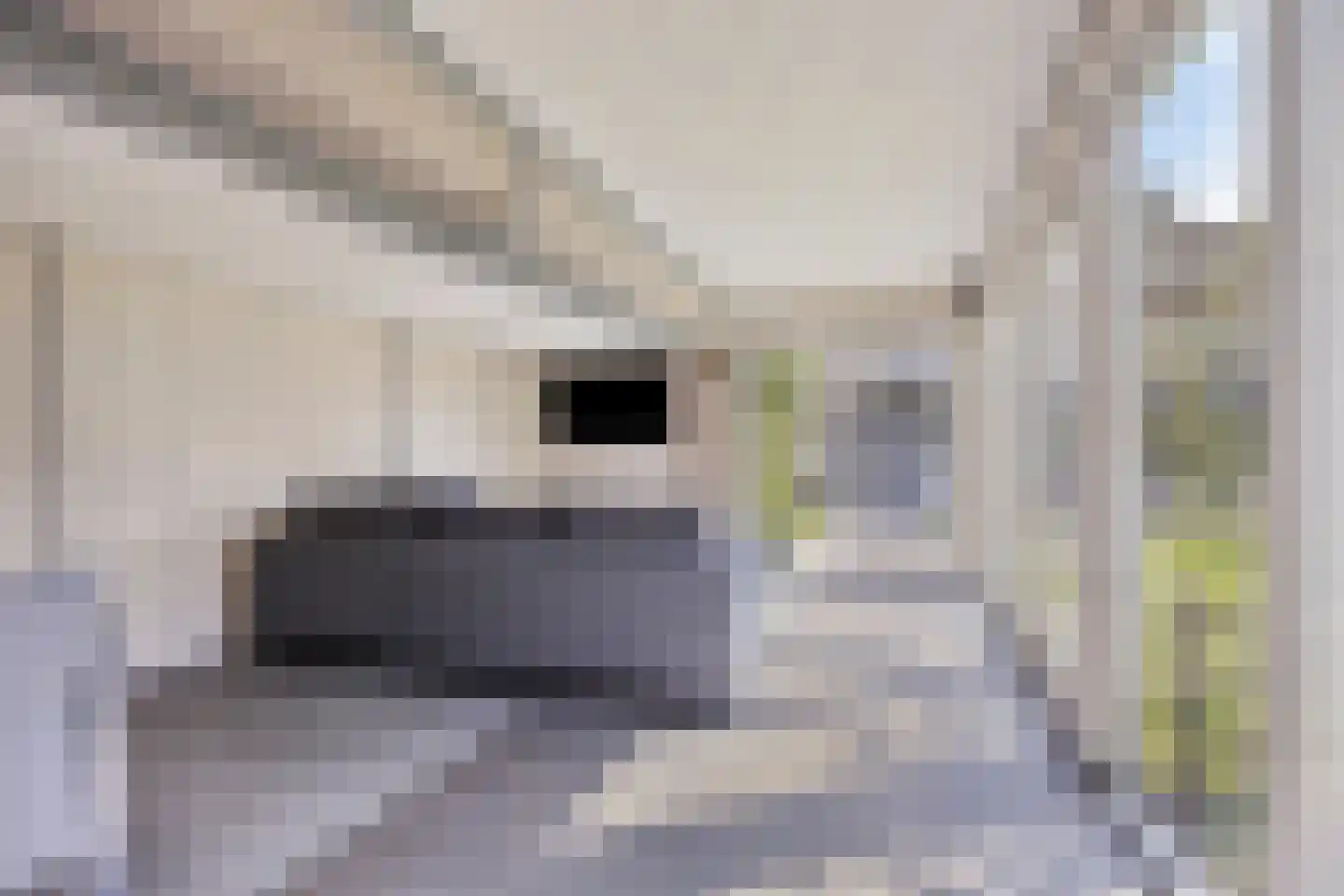 Veldstraat 1 Nuland thumbnail 39