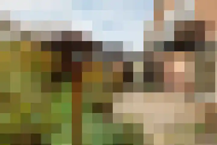 Veldstraat 1 Putten thumbnail 34