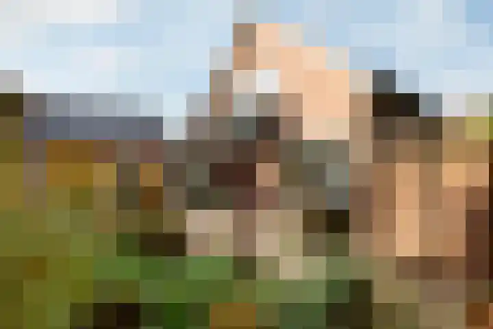 Veldstraat 1 Putten thumbnail 35