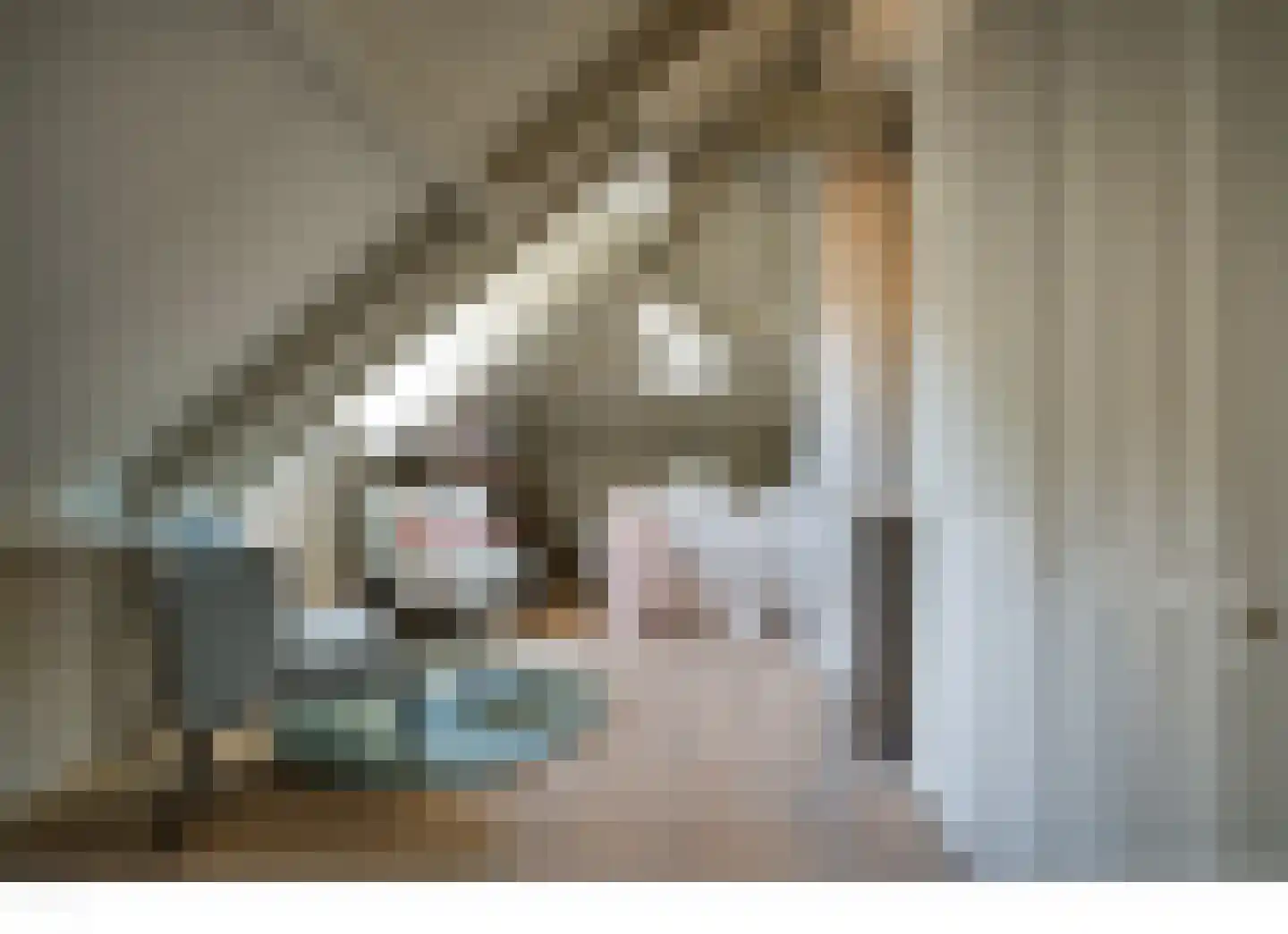 Veldstraat 10 Wijk en Aalburg thumbnail 33