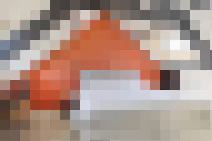 Veldstraat 11 Nijmegen thumbnail 23