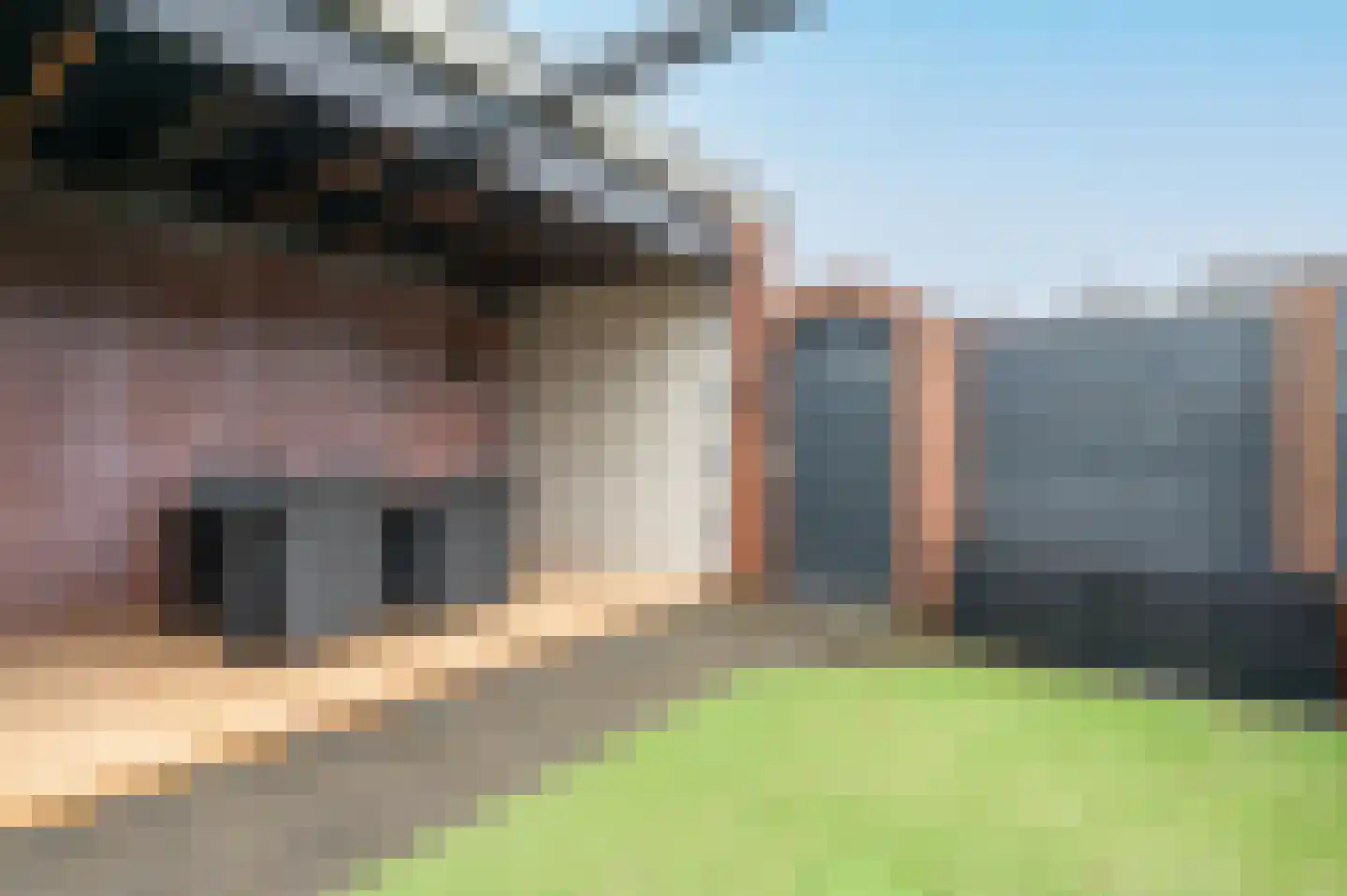 Veldstraat 11 Putten thumbnail 40