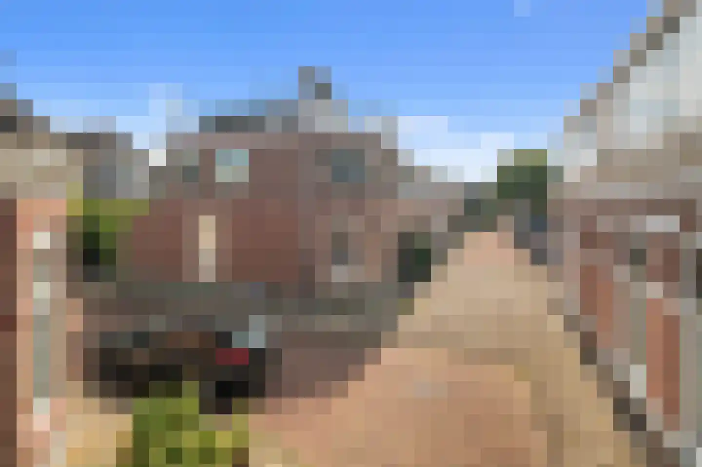 Veldstraat 12 Deventer thumbnail 34