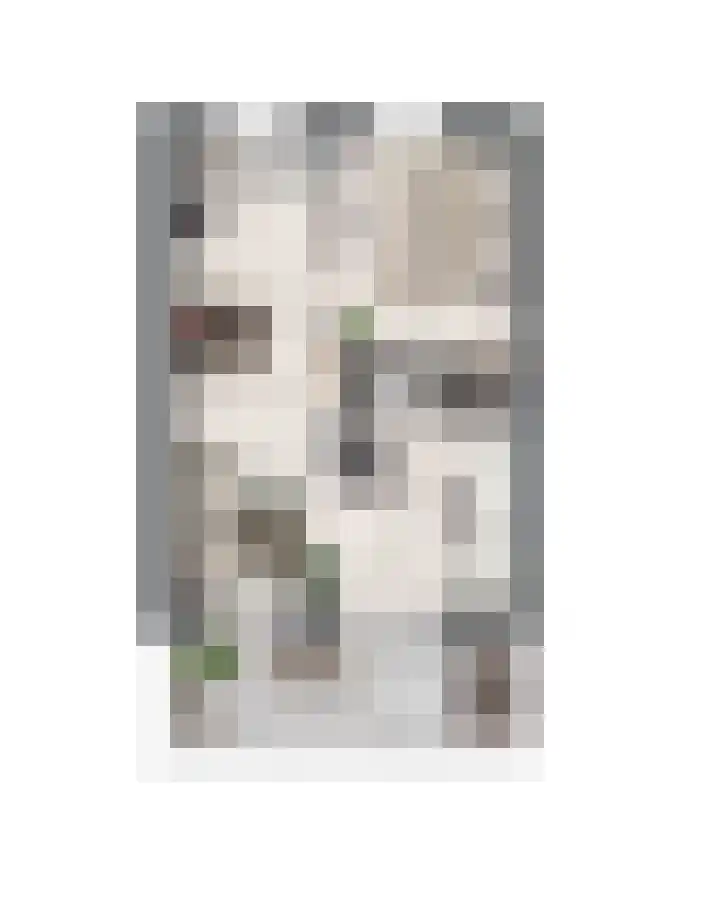 Veldstraat 12 Heeswijk-Dinther foto 3