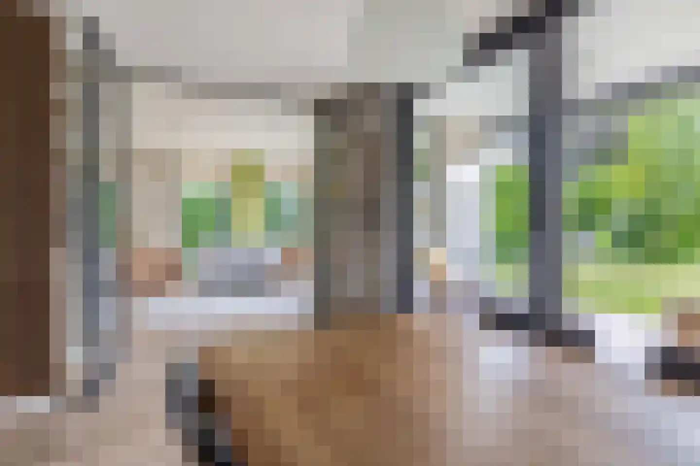 Veldstraat 12 Merselo thumbnail 22