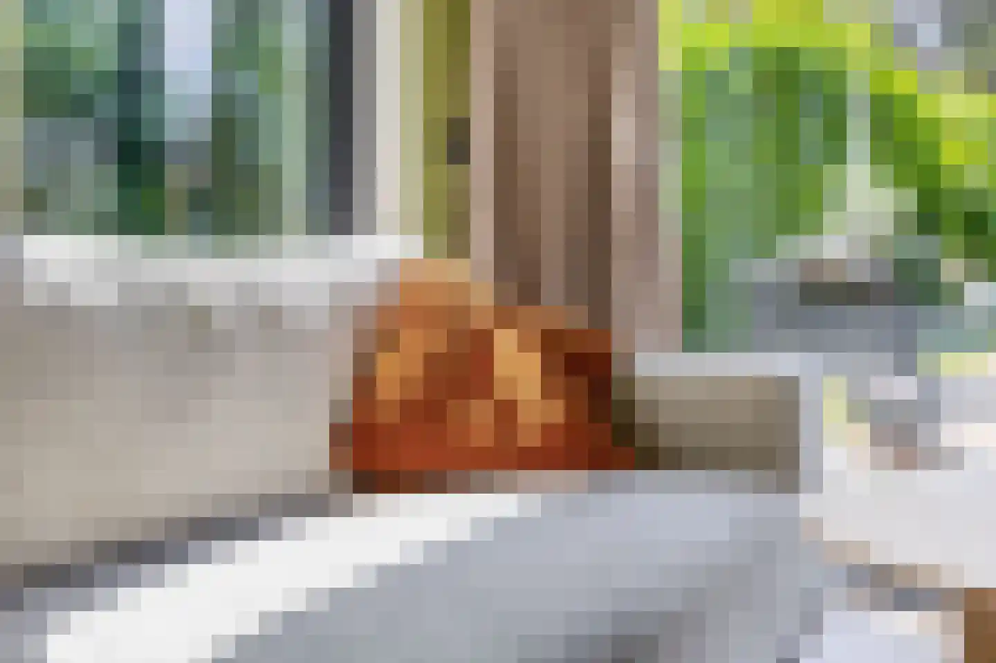 Veldstraat 12 Merselo thumbnail 27