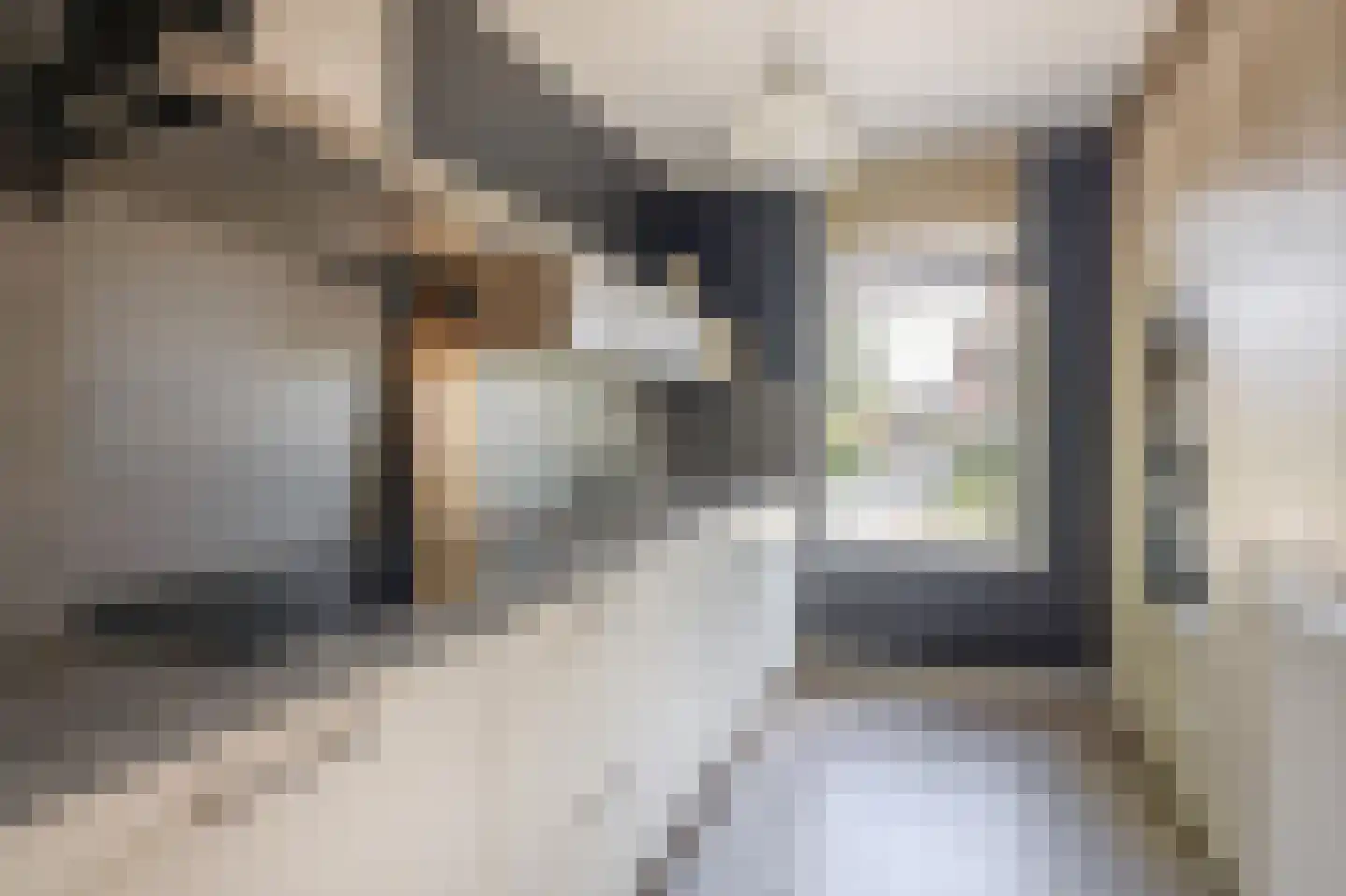 Veldstraat 12 Merselo thumbnail 35