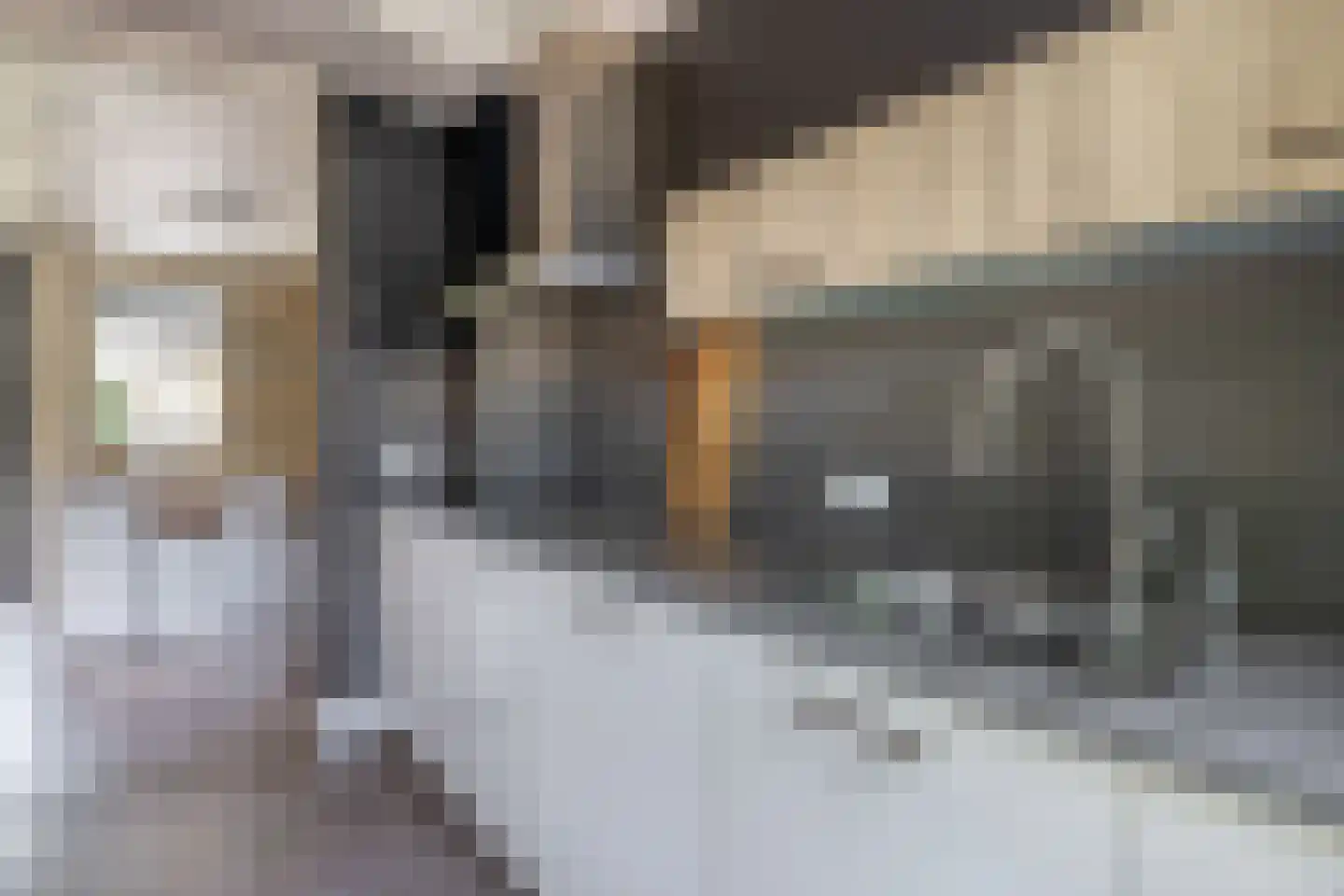 Veldstraat 12 Merselo thumbnail 38