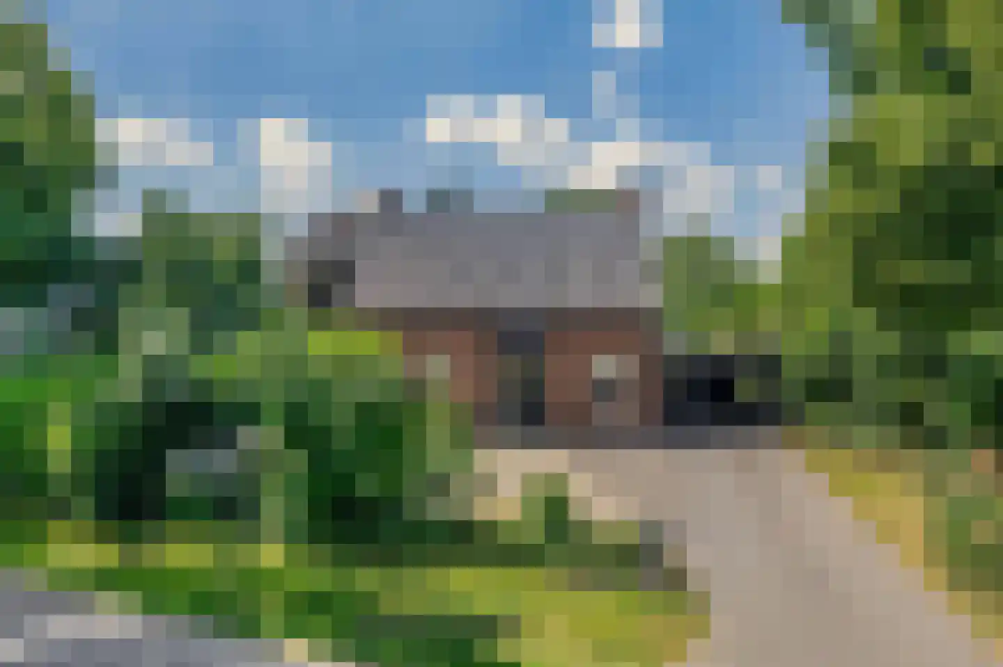 Veldstraat 12 Merselo thumbnail 6
