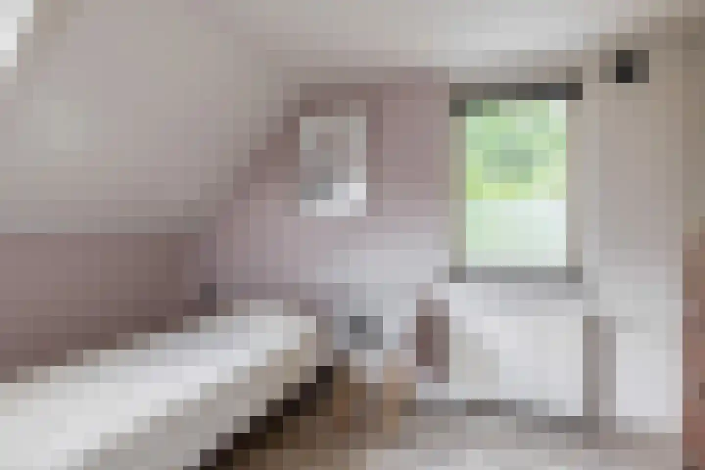 Veldstraat 12 Merselo thumbnail 61