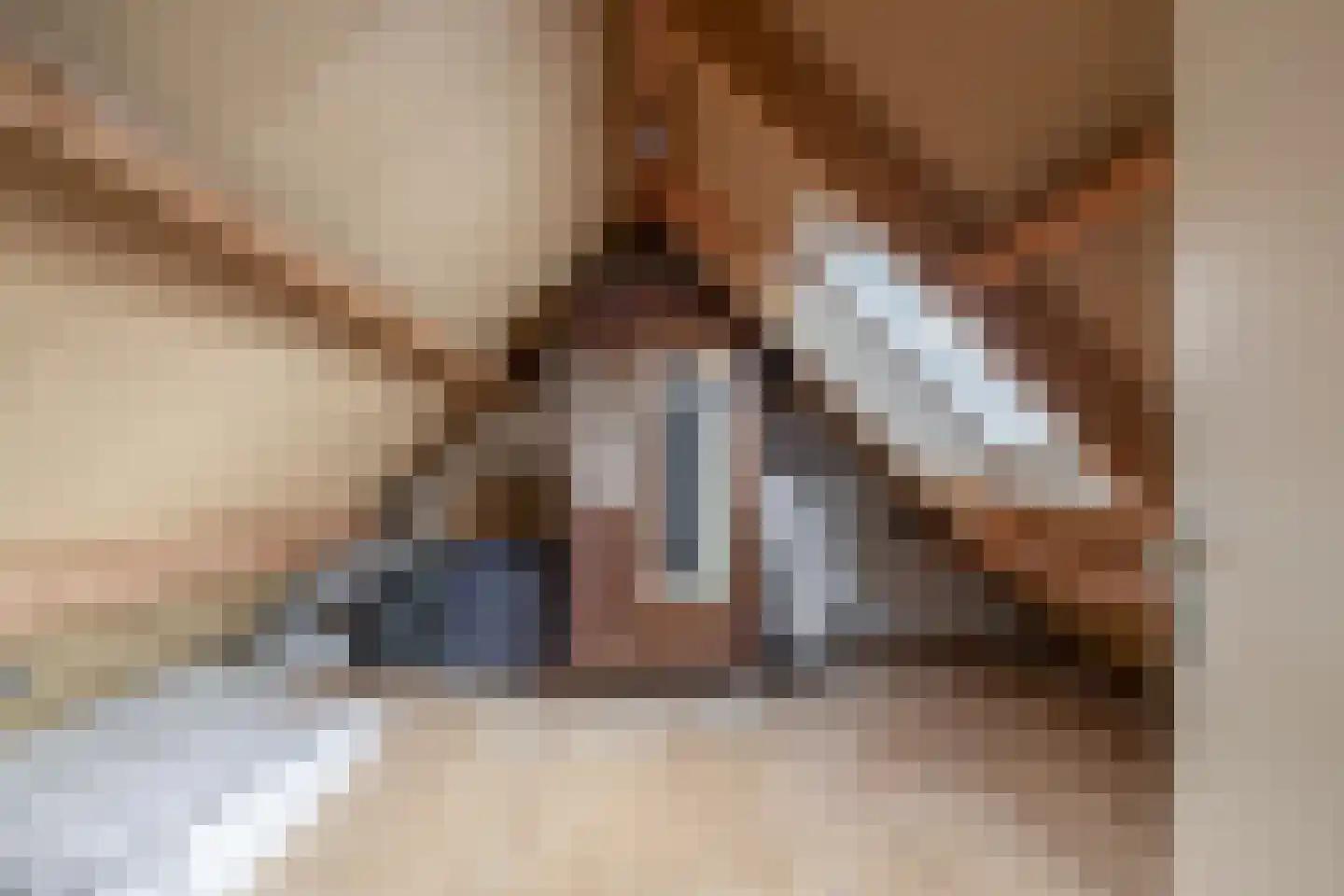 Veldstraat 12 Merselo thumbnail 68