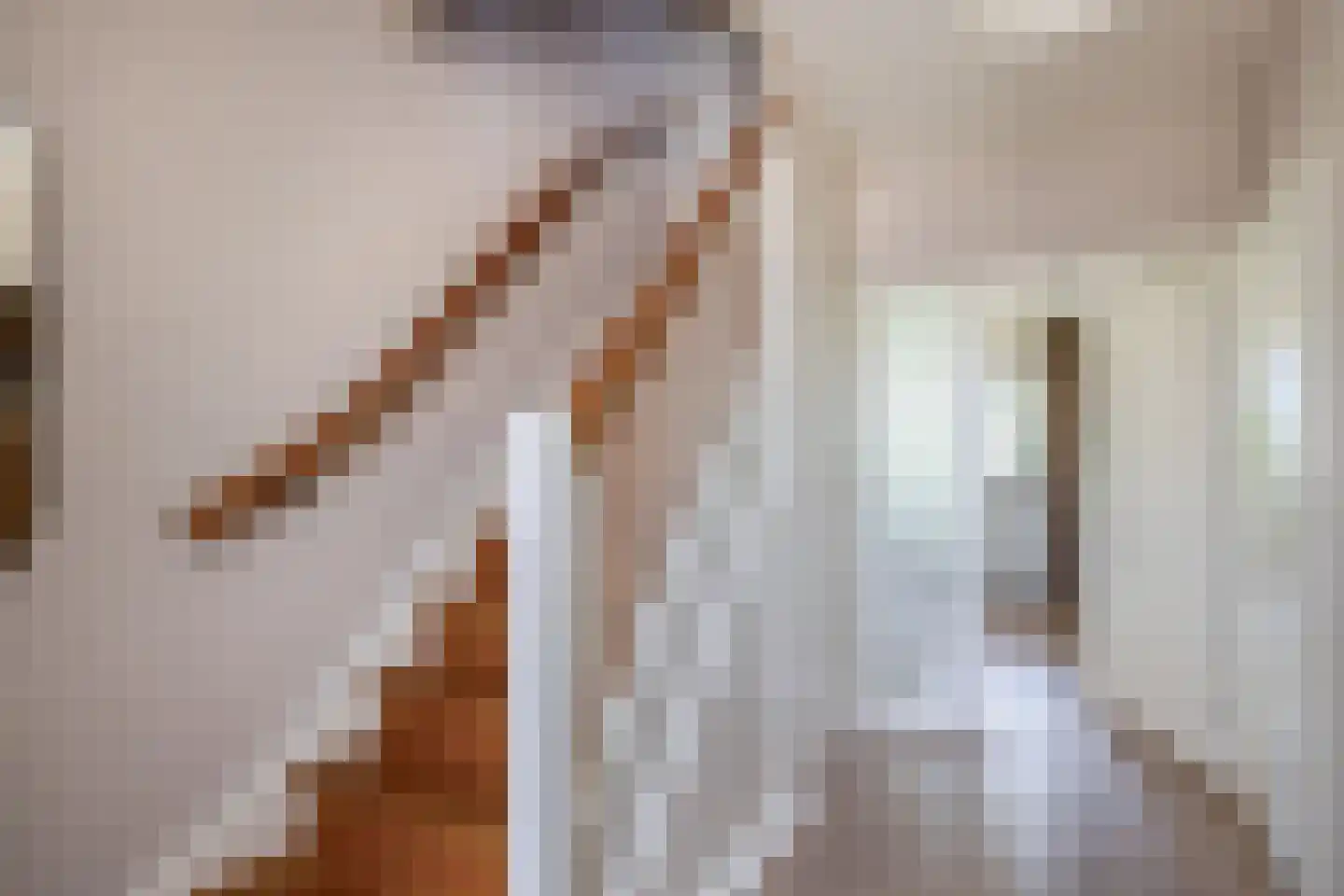 Veldstraat 12 Merselo thumbnail 7