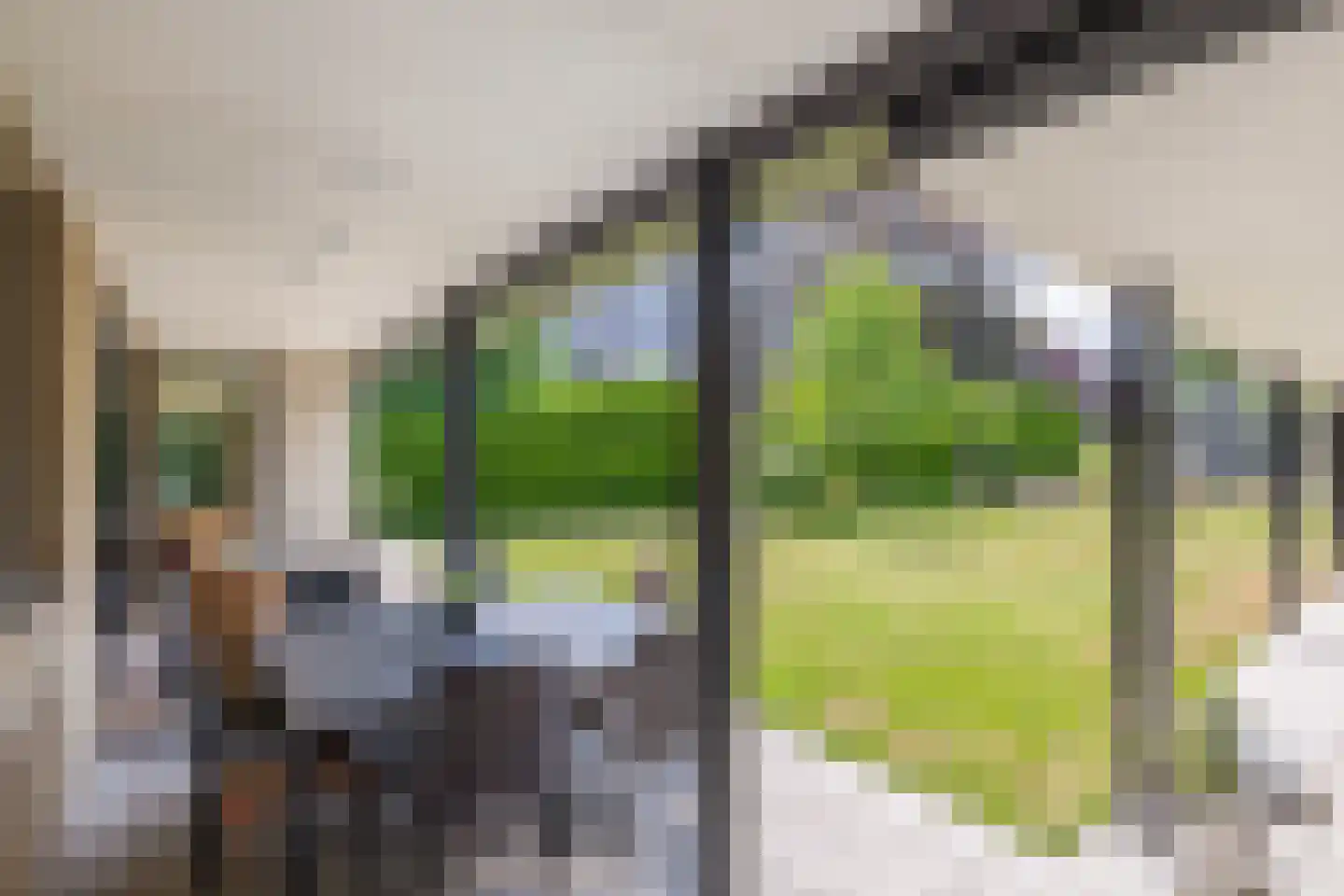 Veldstraat 12 Merselo thumbnail 74