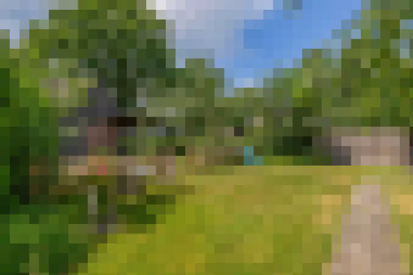 Veldstraat 12 Merselo thumbnail 79