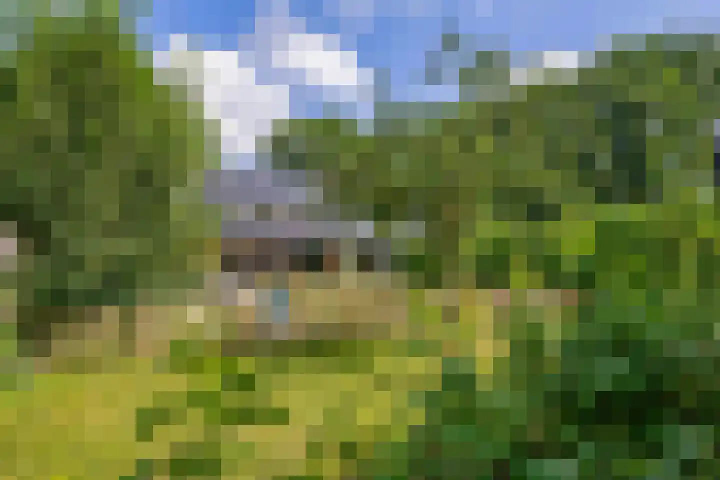 Veldstraat 12 Merselo thumbnail 81