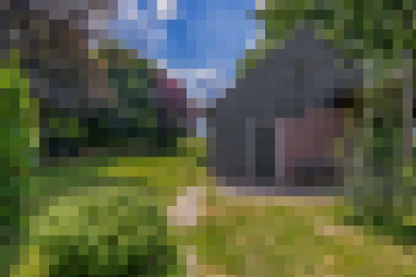 Veldstraat 12 Merselo thumbnail 83