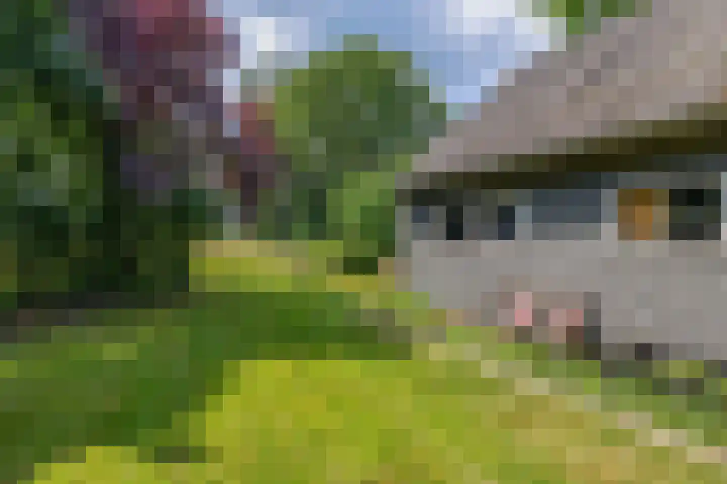 Veldstraat 12 Merselo thumbnail 89