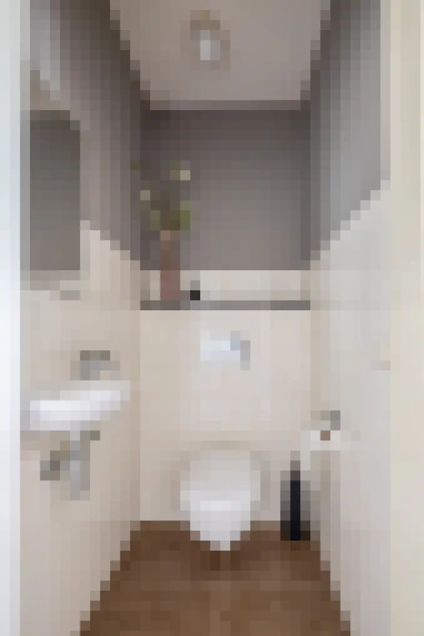 Veldstraat 12 Merselo thumbnail 9