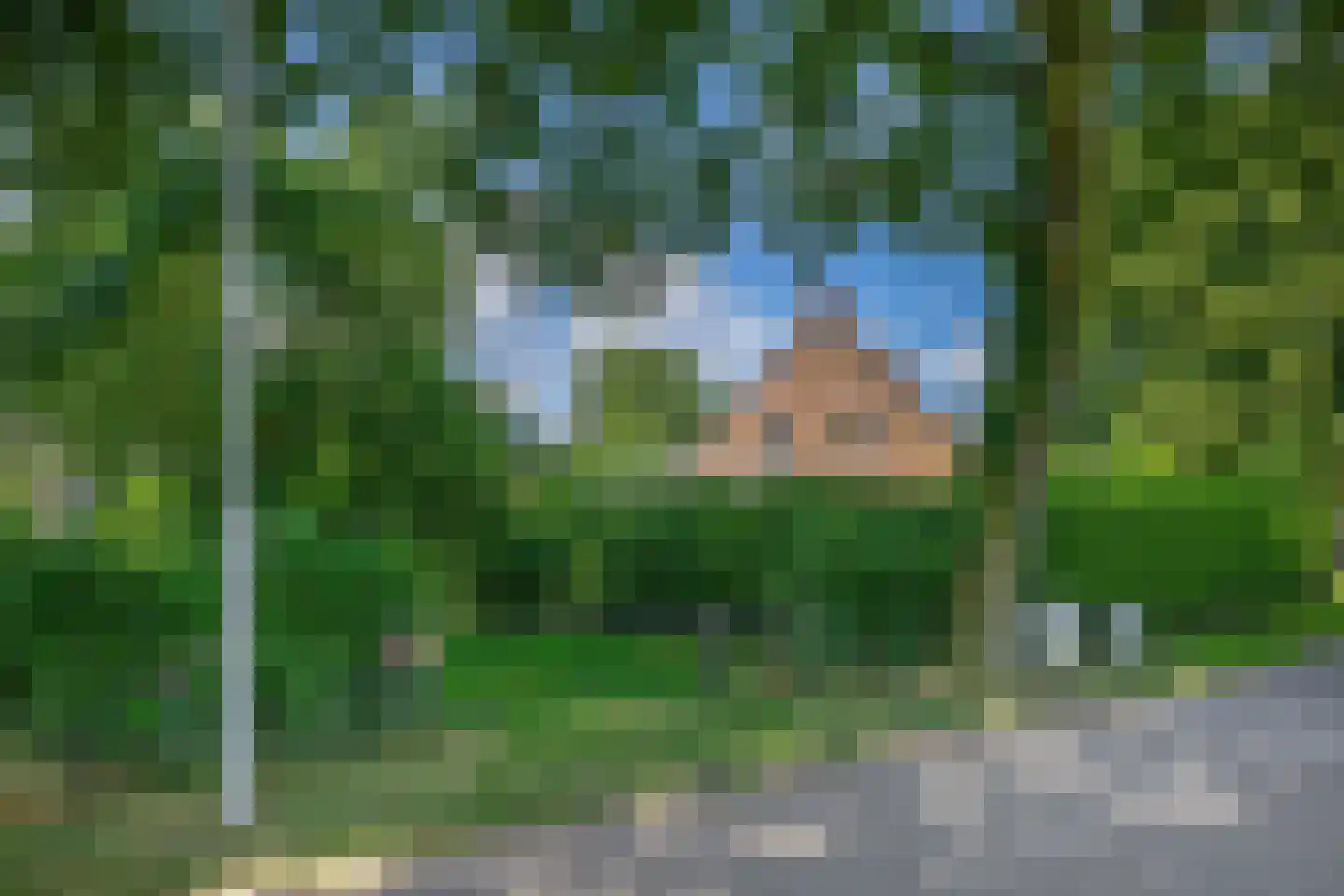 Veldstraat 12 Merselo thumbnail 90