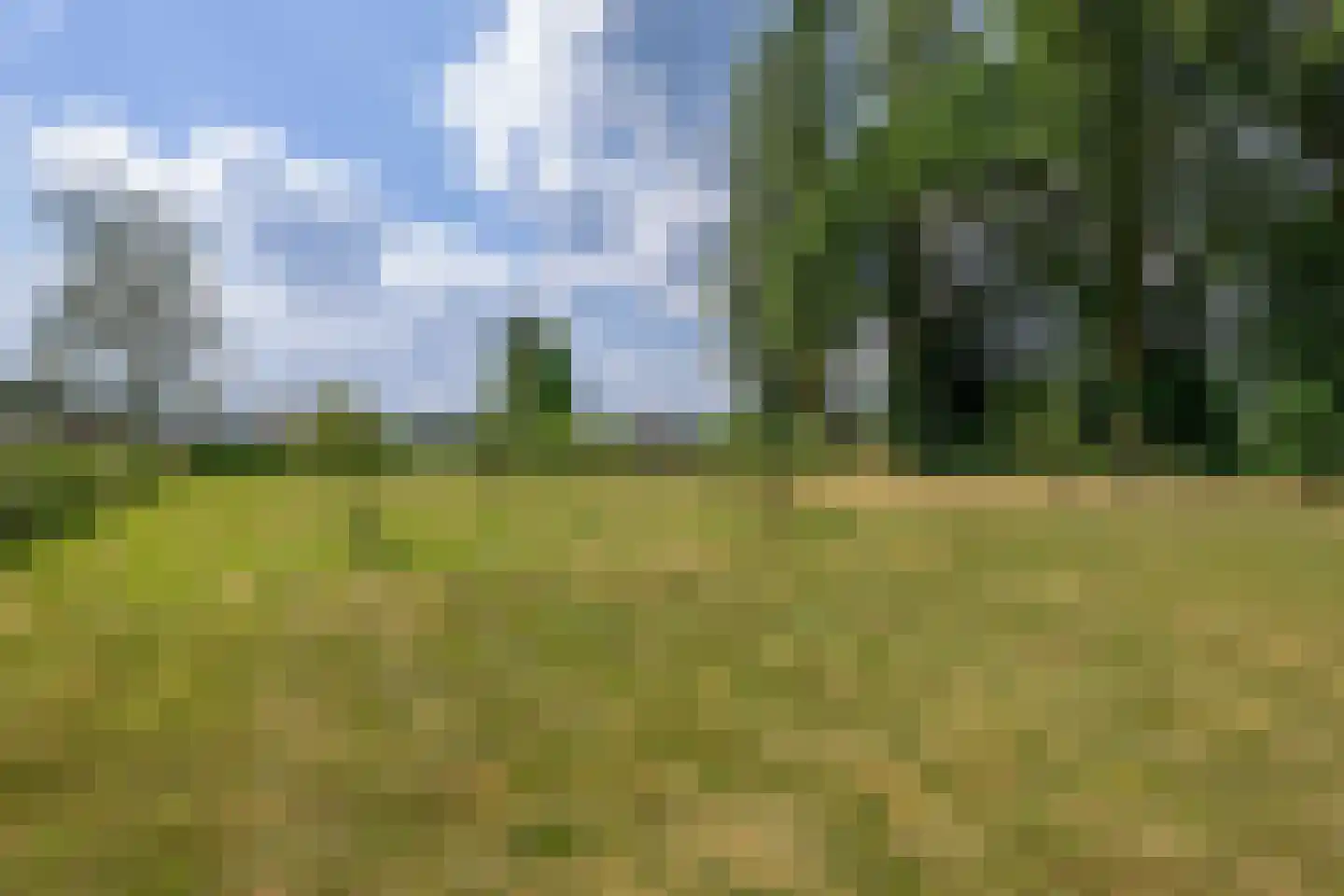 Veldstraat 12 Merselo thumbnail 93