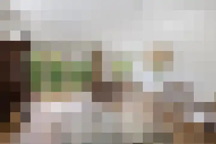 Veldstraat 12 Zetten thumbnail 11