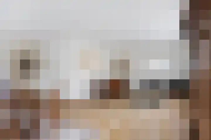Veldstraat 12 Zetten thumbnail 15