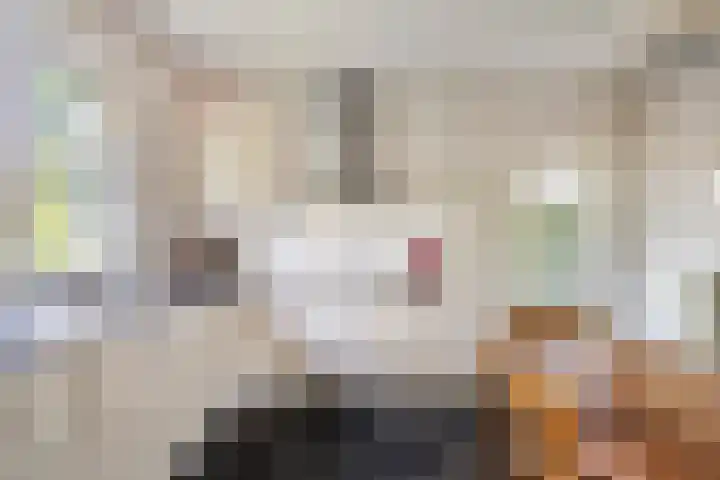 Veldstraat 12 Zetten thumbnail 18