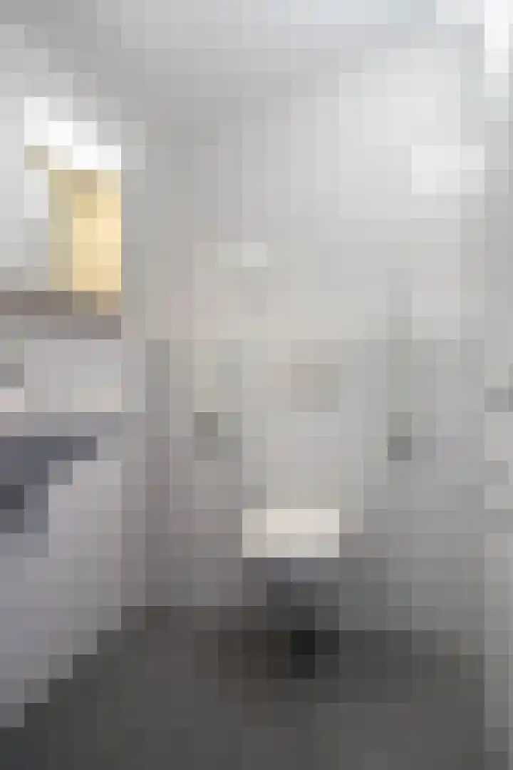 Veldstraat 12 Zetten thumbnail 26