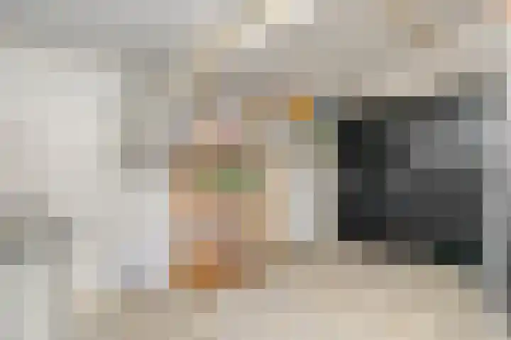 Veldstraat 12 Zetten thumbnail 34