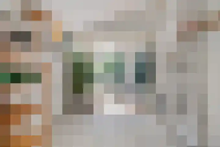 Veldstraat 12 Zetten thumbnail 36