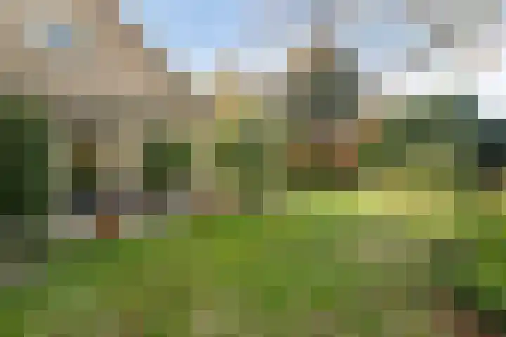 Veldstraat 12 Zetten thumbnail 38