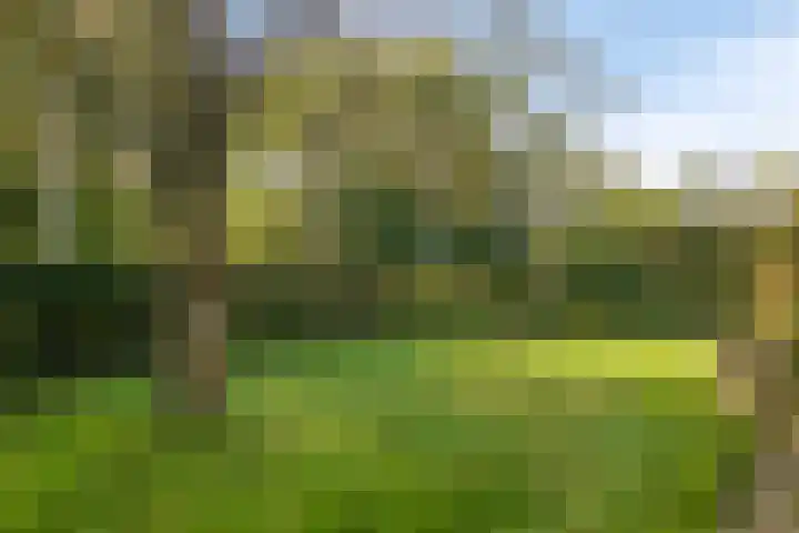 Veldstraat 12 Zetten thumbnail 39